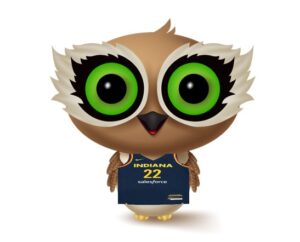 Mindspot Owl wearing Caitlin Clark Jersey